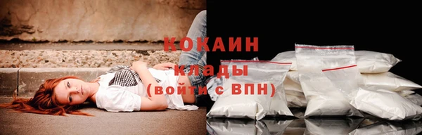 мяу мяу мука Дмитров