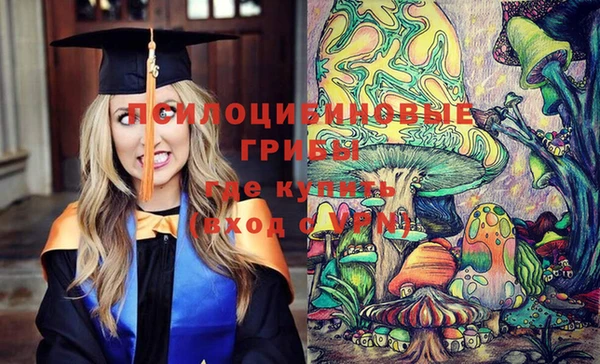 мяу мяу мука Дмитров
