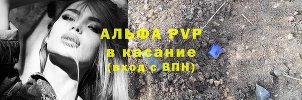 СК Дмитровск