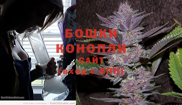 СК Дмитровск