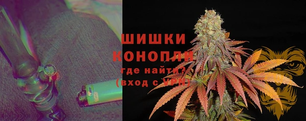 СК Дмитровск