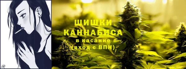 экстази Дмитриев